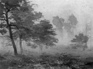 Misty Forest Clearing Misty Forest Clearing