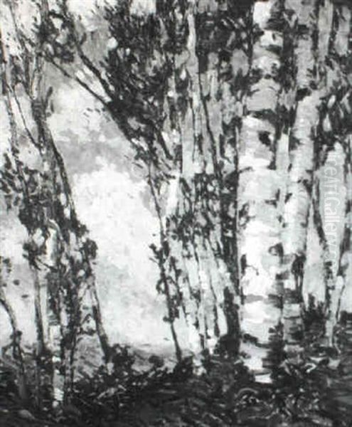 Birches In Summer Breeze - view 1
