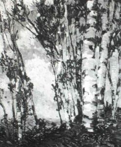 Birches In Summer Breeze