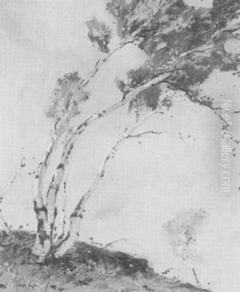 Landscape/pending Birches - view 1