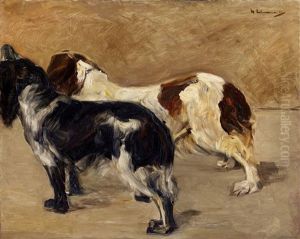Zwei Spaniels