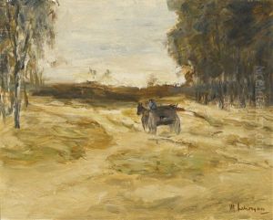 Heidelandschaft - Markische Landschaft (heathlandscape - Brandenburg)