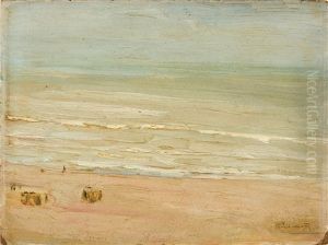 Strand Und Meer In Zandvoort