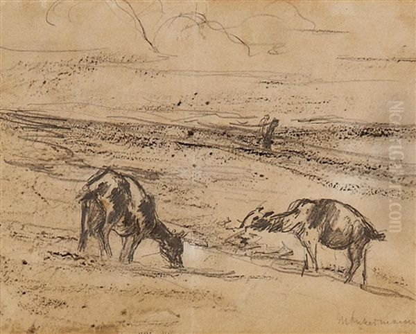 Grasende Ziegen (study For Etching) - view 1