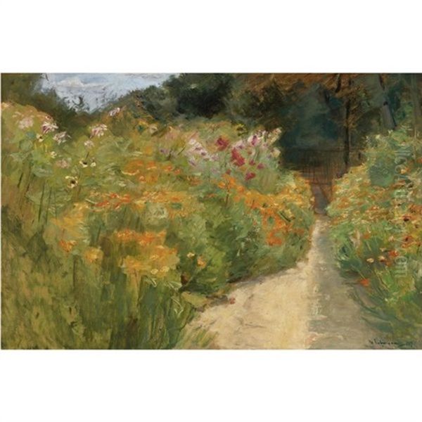 Blumenstauden Im Wannseegarten (flower Shrubs In Wannsee Garden) - view 1