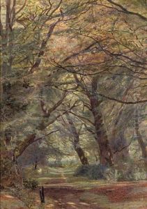 A Path Through A Wooded Landscape A Path Through A Wooded Landscape