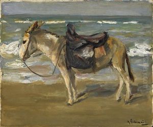 Reitesel Am Strand Nach Links Reitesel Am Strand Nach Links