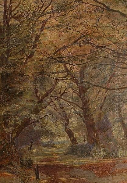 The Path Through The Woods - view 1