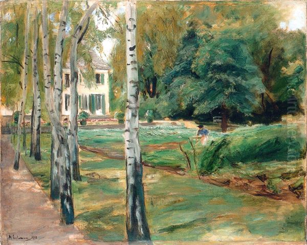 Die Birkenallee Im Wannseegarten Nach Westen - view 1