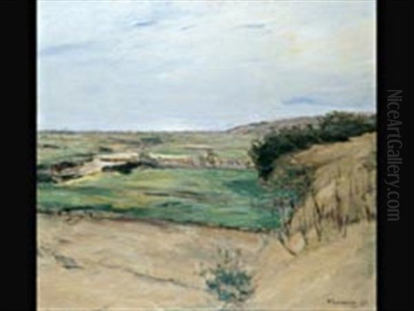 Dunenlandschaft - view 1
