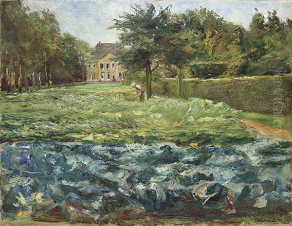 Kohlfeld Im Wannseegarten Nach Westen - view 1