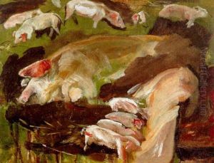 Muttersau Und Ferkel