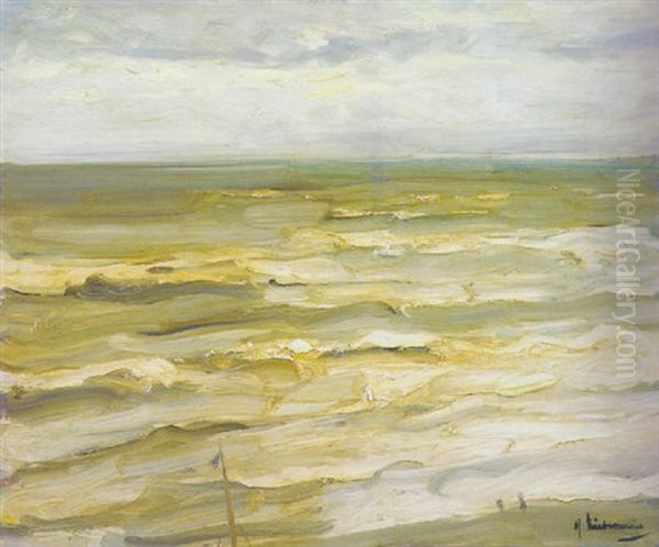 Strand Und Meer In Zandvoort -- Brandungswellen - view 1