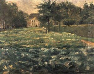 Das Kohlfeld Des Kunstlers Am Wannsee