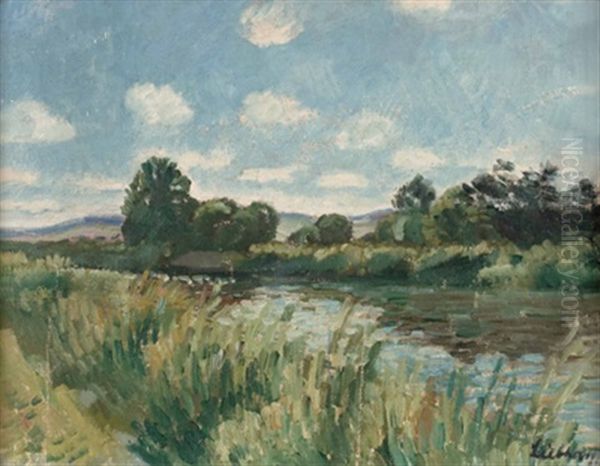 Flusslandschaft - view 1