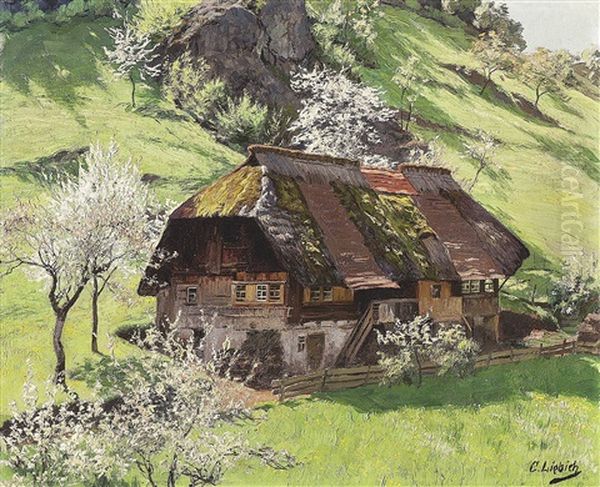 Schwarzwaldhof In Sommerlicher Landschaft - view 1