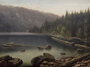 Jezero Na Sumave by Karel Liebscher