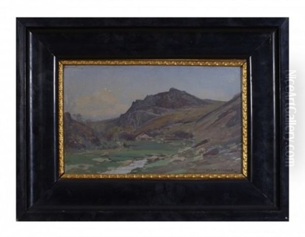 Bergslandskap - view 1