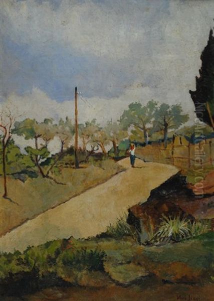 Stradina Di Campagna Con Contadina - view 1
