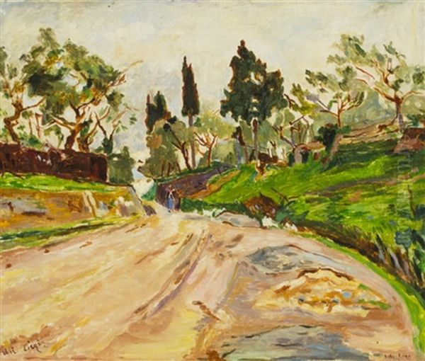 Strada Di Montelupo - view 1