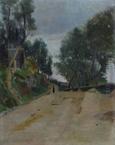 Strada Di Montelupo - view 1