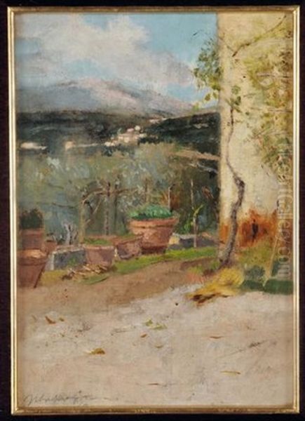 Terrazzo Con Vasi - view 1