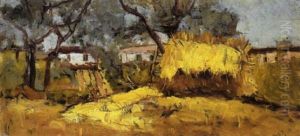 Grano Tra Gli Ulivi