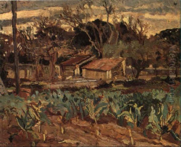 Orti Livornesi - view 1