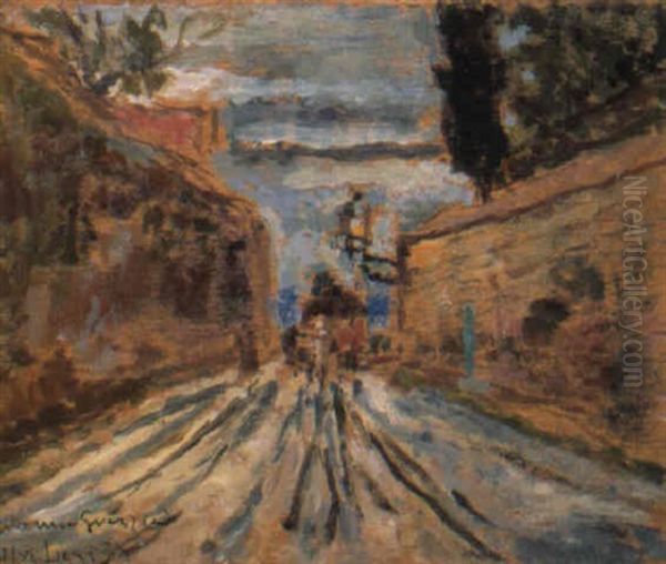 Stradina Toscana - view 1