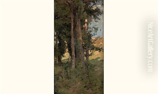 Les Grands Arbres - view 1