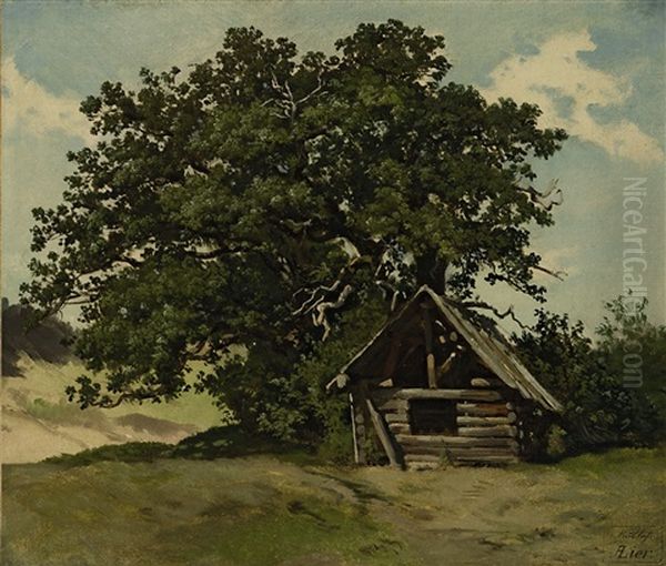 Holzhutte Unter Einem Baum - view 1