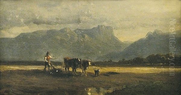 Pflugender Bauer In Voralpenlandschaft - view 1