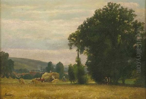 Sommerlandschaft Mit Getreideernte Und Dorf Im Hintergrund - view 1