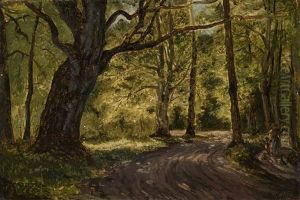 Waldweg Waldweg