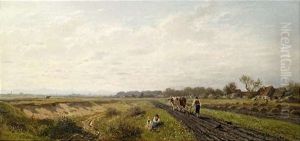 Weite Bayerische Feldlandschaft Mit Stadtsilhouette Am Horizont (munchen?)