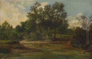 Waldweiher (study) by Adolf Heinrich Lier