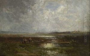 Mooslandschaft