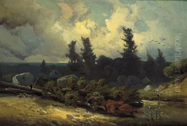 Gewitterstimmung Im Moor - view 1