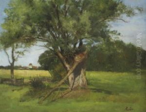 Sommerlandschaft Mit Weide