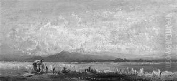 Getreideernte In Voralpenlandschaft Am Chiemsee - view 1