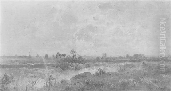 Herbstliche Moorlandschaft - view 1