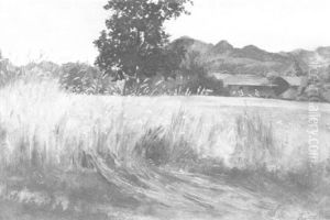 Blick Uber Ein Reifes Kornfeld Auf Ein Gehoft Im Hintergrund