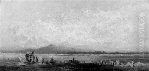 Voralplandschaft Im Nebel - view 1