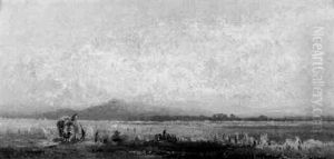 Voralplandschaft Im Nebel
