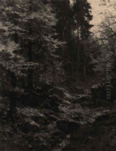 Blick Auf Einen Bach Im Hochwald (landschaftsstudie) - view 1