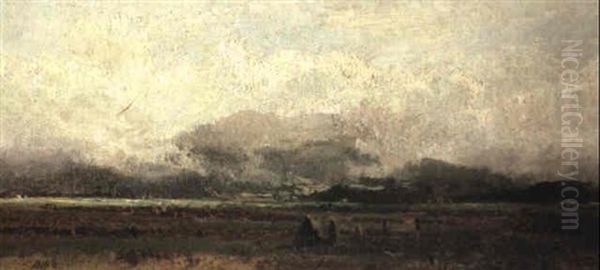 Extensive Landscape - view 1
