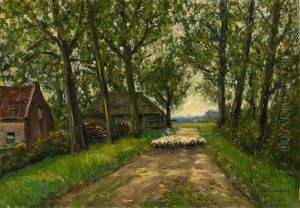 Sommerliche Allee Mit Einer Schafherde Sommerliche Allee Mit Einer Schafherde