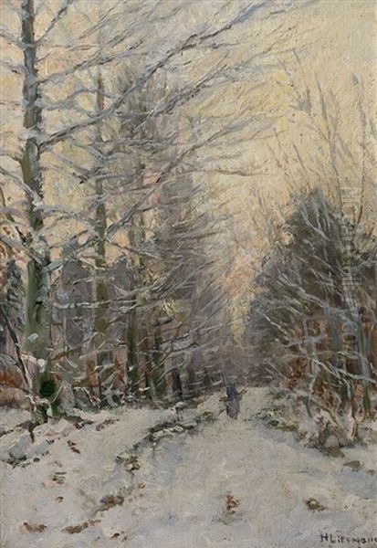 Winterwald - view 1