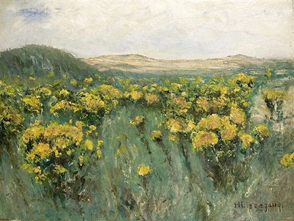 In Der Eifel - view 1