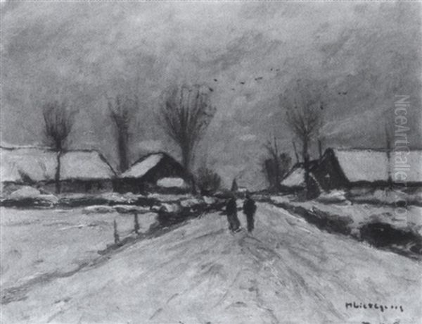 Winter Am Niederrhein - view 1